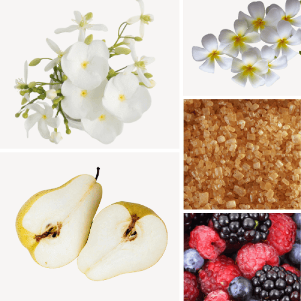 Duftnoten: Gardenie, Fragipani, Birne, brauner Zucker, rote Beeren